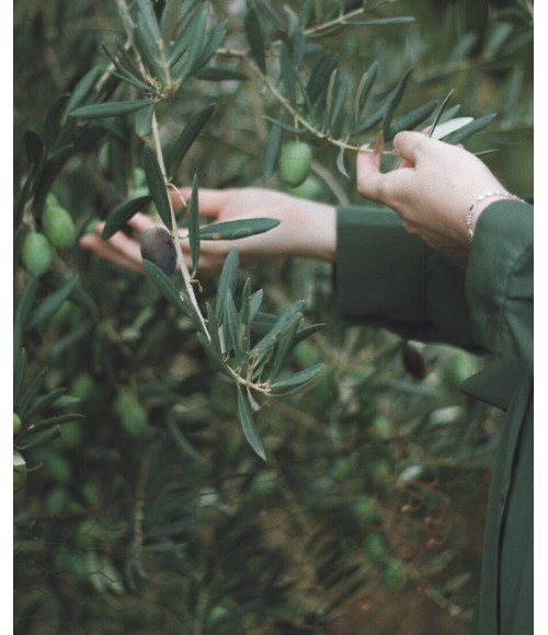Bio-Olivenöl  / Oregano / Lorbeerblatt / Pfeffer