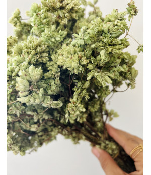 Flor de Sal / Oregano / Bio