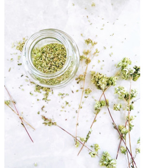 Oregano getrocknet