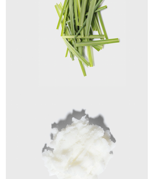 Bio Seife mit Sheabutter und Lemongrass