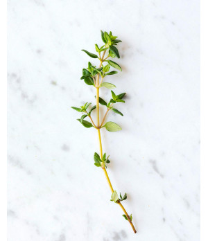 Flor de Sal / Thymian / Bio