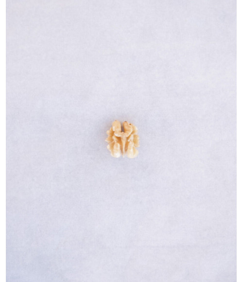 "Brain Double"