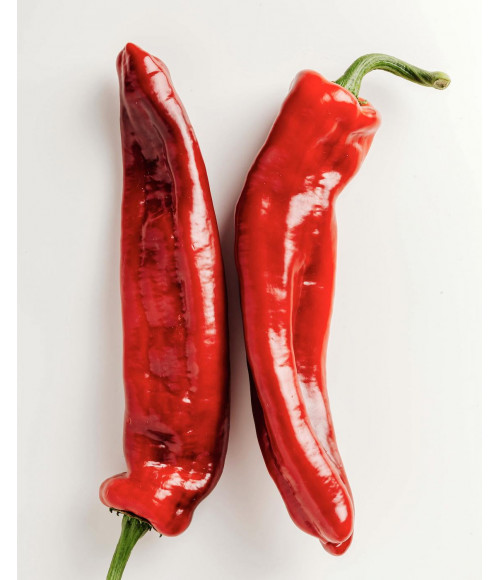 Piri Piri Paste zum Kochen