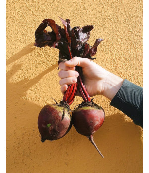 Rote Beete Ketchup
