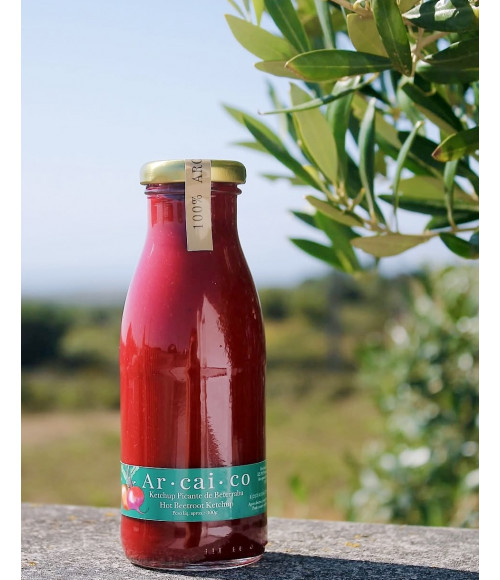 Rote Beete Ketchup