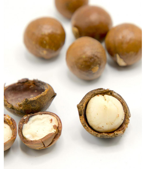 Macadamia Nüsse/Roh
