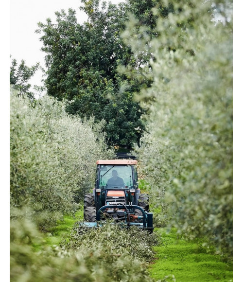 Olivenöl Extra Virgem