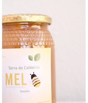 Bee Kisses Thymian / Reiner Thymianhonig