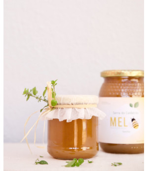 Bee Kisses Thymian / Reiner Thymianhonig